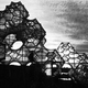 Image for article titled A Mega-Molecule That Invaded The OC